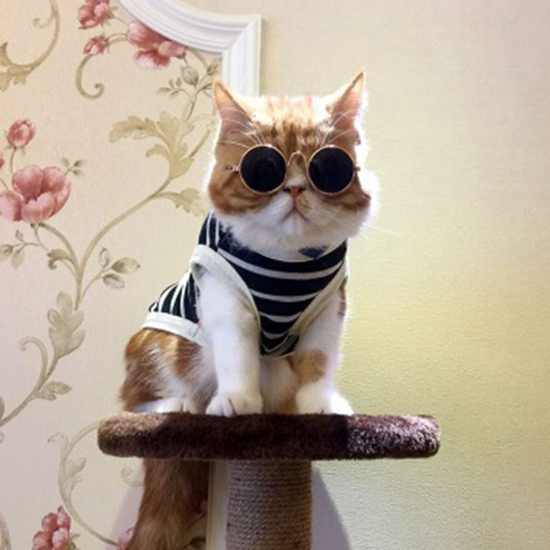 Cat sunglasses for pet apparel and photo accessories