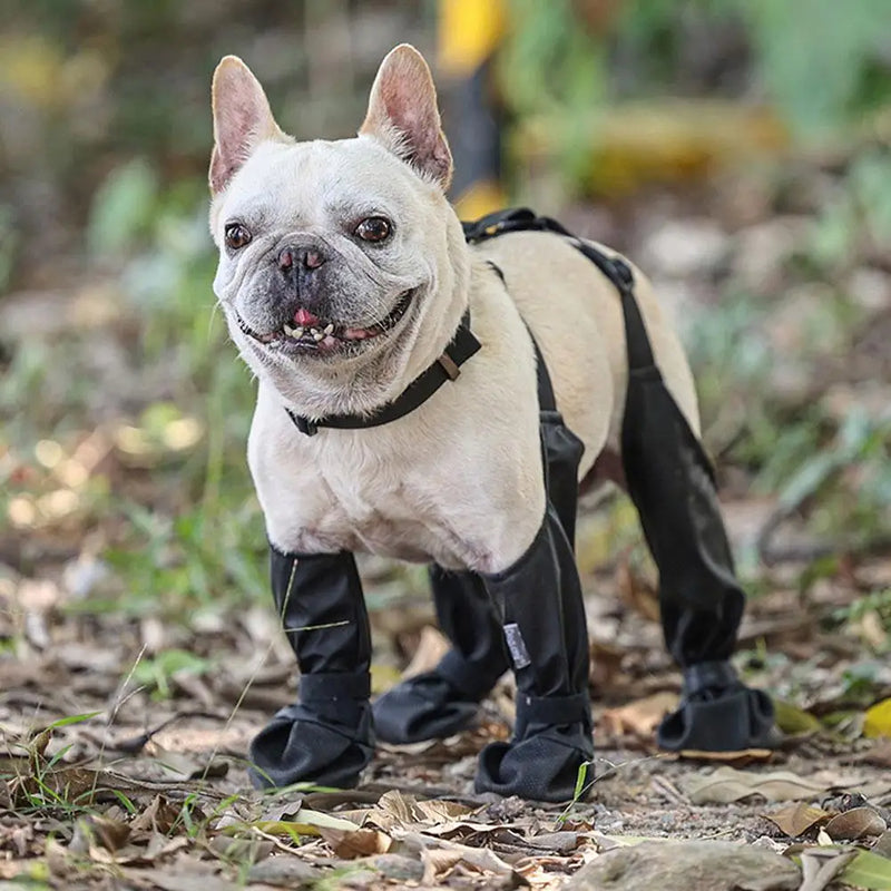 Dog Snow Booties Sock Non Slip Rain Booties Waterproof Breathable Wearable For Small Medium Large Dogs durable Pet Products eprolo