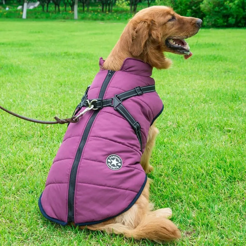Thickened outdoor dog jacket for cold weather