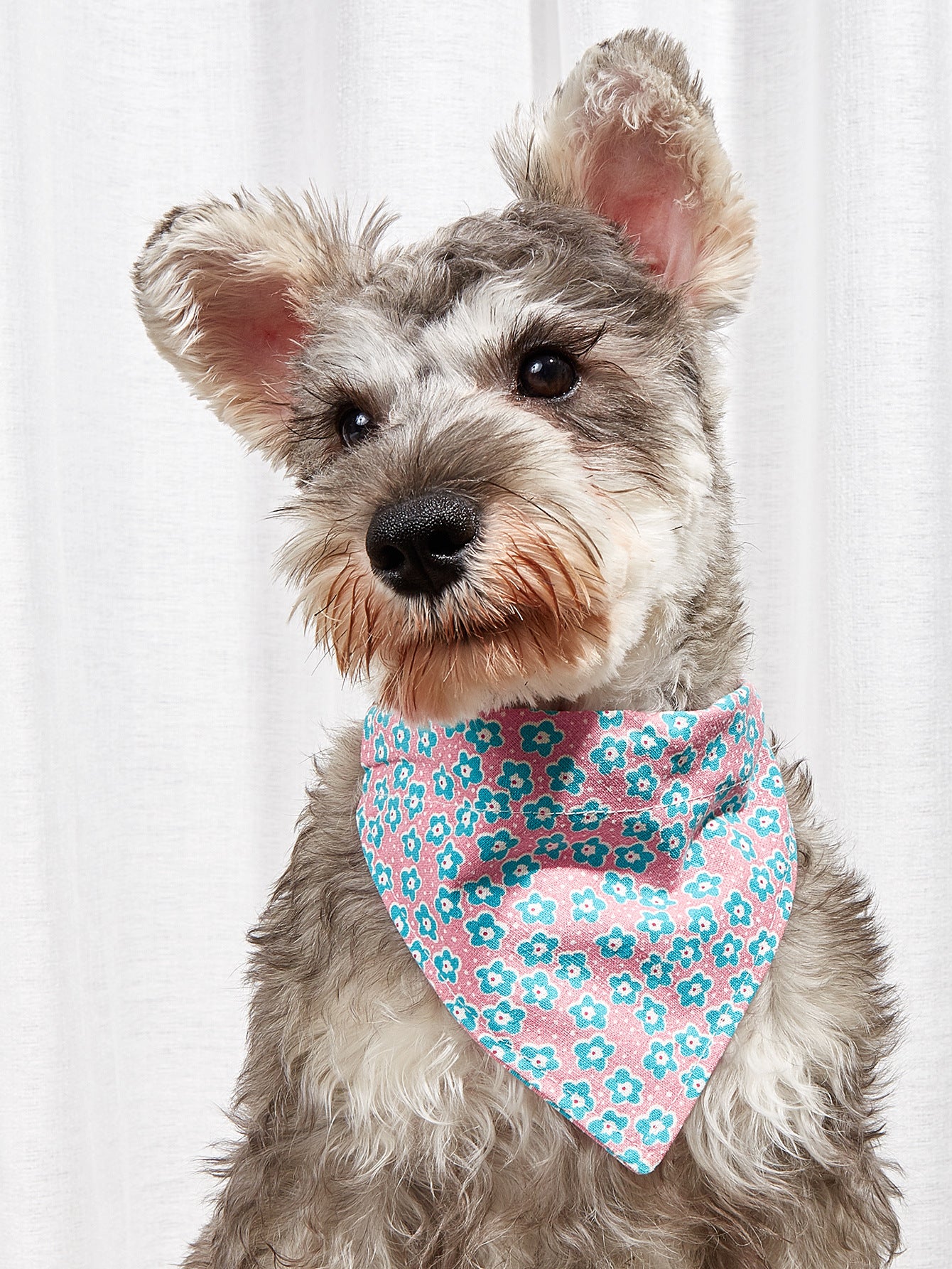 Cartoon Pet Bandana Collar – Cotton Triangle Towel for Cats & Dogs eprolo