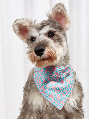 Cartoon Pet Bandana Collar – Cotton Triangle Towel for Cats & Dogs eprolo